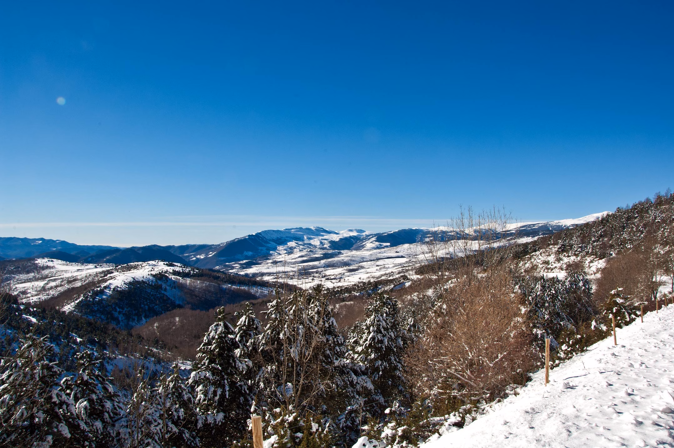 Verschneite Wiese mit Trittspuren, Bäume und Berge bei Molló
