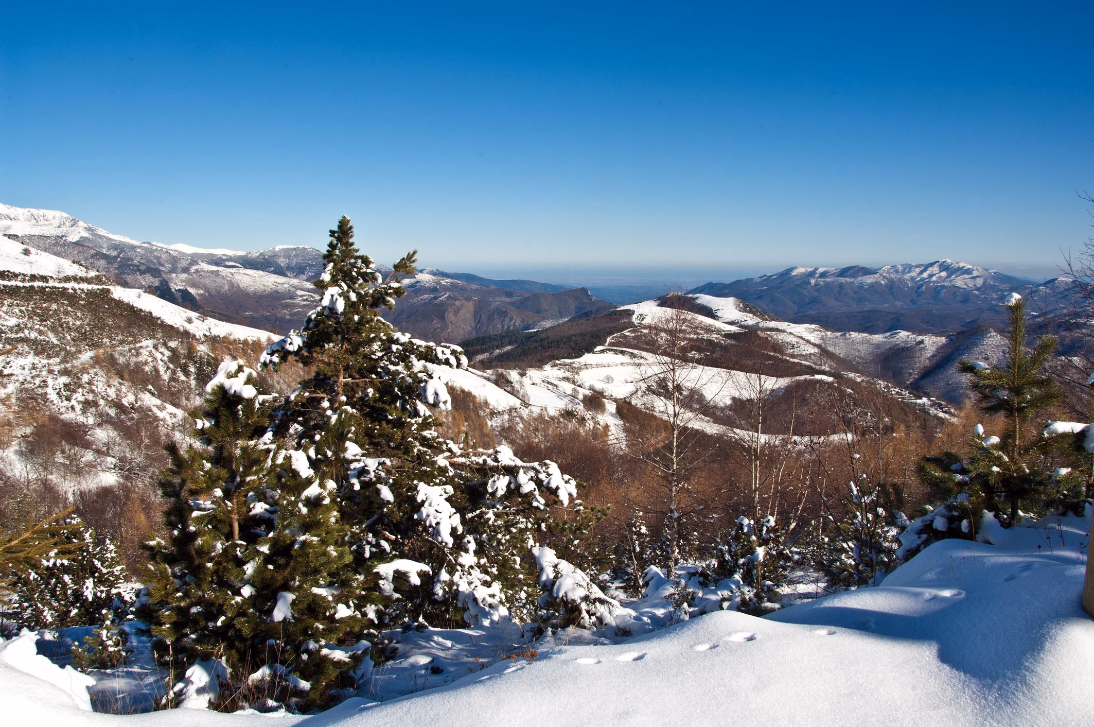 Winterpanorama mit verschneiten Hügeln und Fernsicht nahe Molló