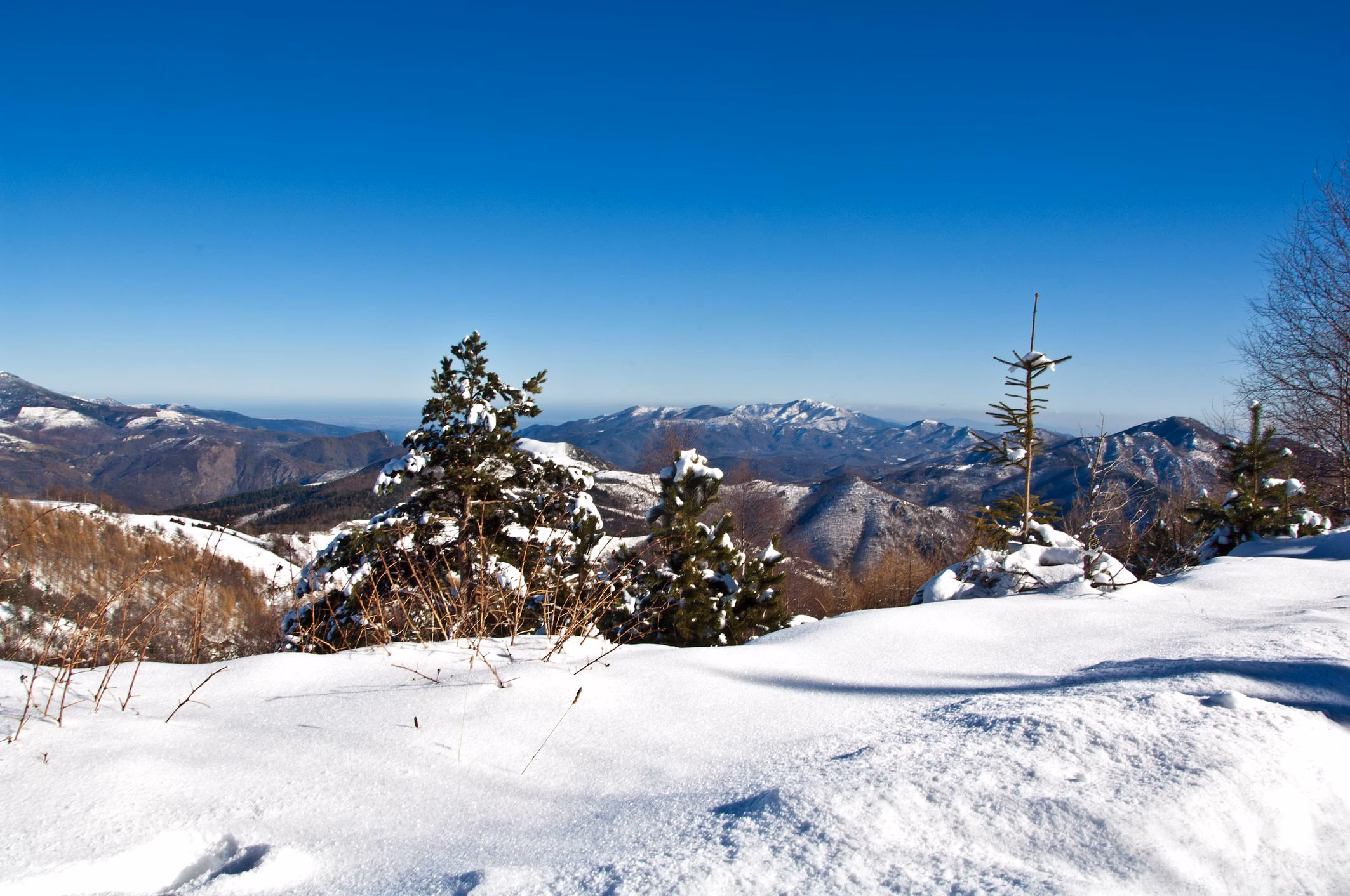 Panorama mit verschneiten Bergen und klarer Sicht nahe Molló